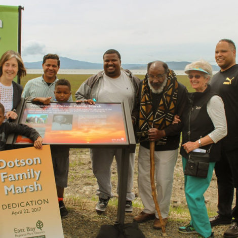 Environmentalist Dotson Earns Bay Hero Award