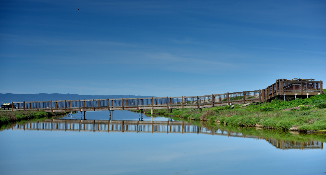 Apps to Use on the San Francisco Bay Trail