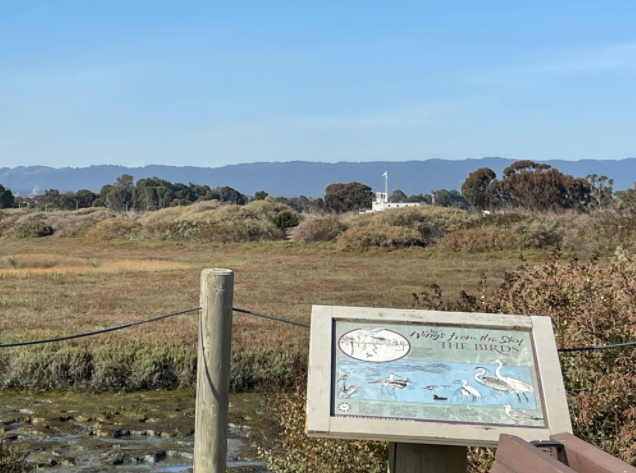 Lush wetland with explainer sign in the foreground and building in the background