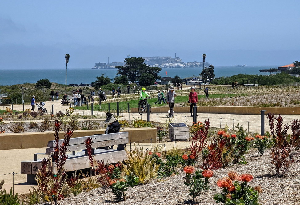 Plant beds, cement paths, and lawns with San Francisco Bay in the distance