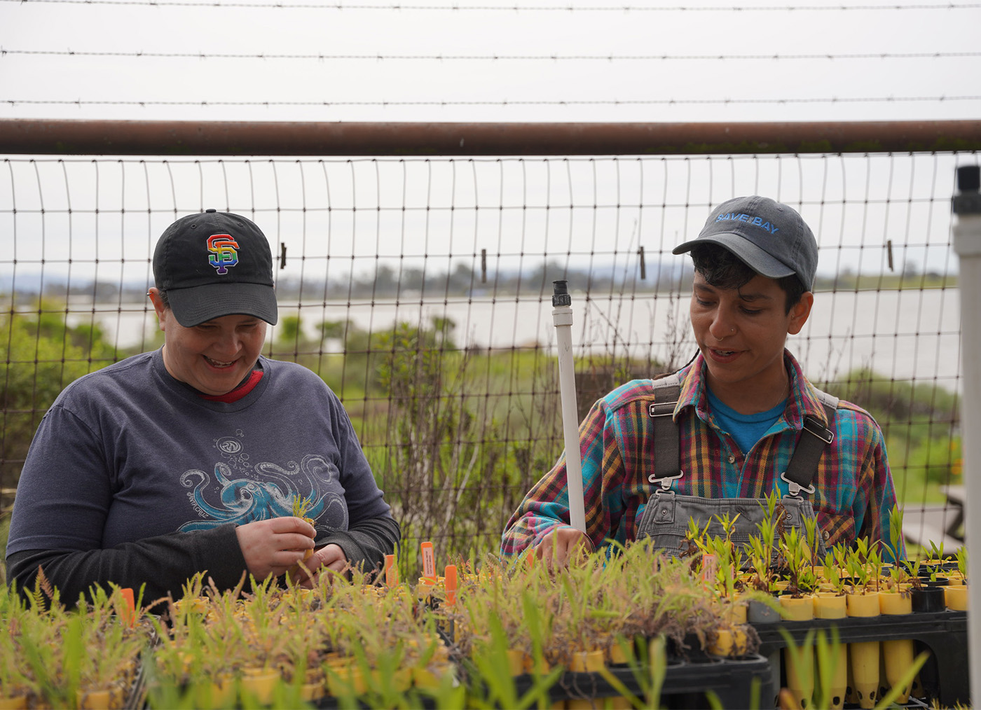 Queer Native Plant Nursery Event